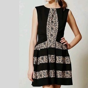 Eva Franco | Anthropologie | size 8